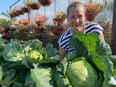 ������� ������� � �������: ������ ���������� ��� ���� �����