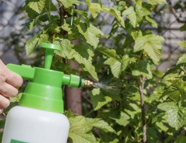 ��������� ��������� ����� ����� ������: ��� �������� ����� �� ���������� ��� �����