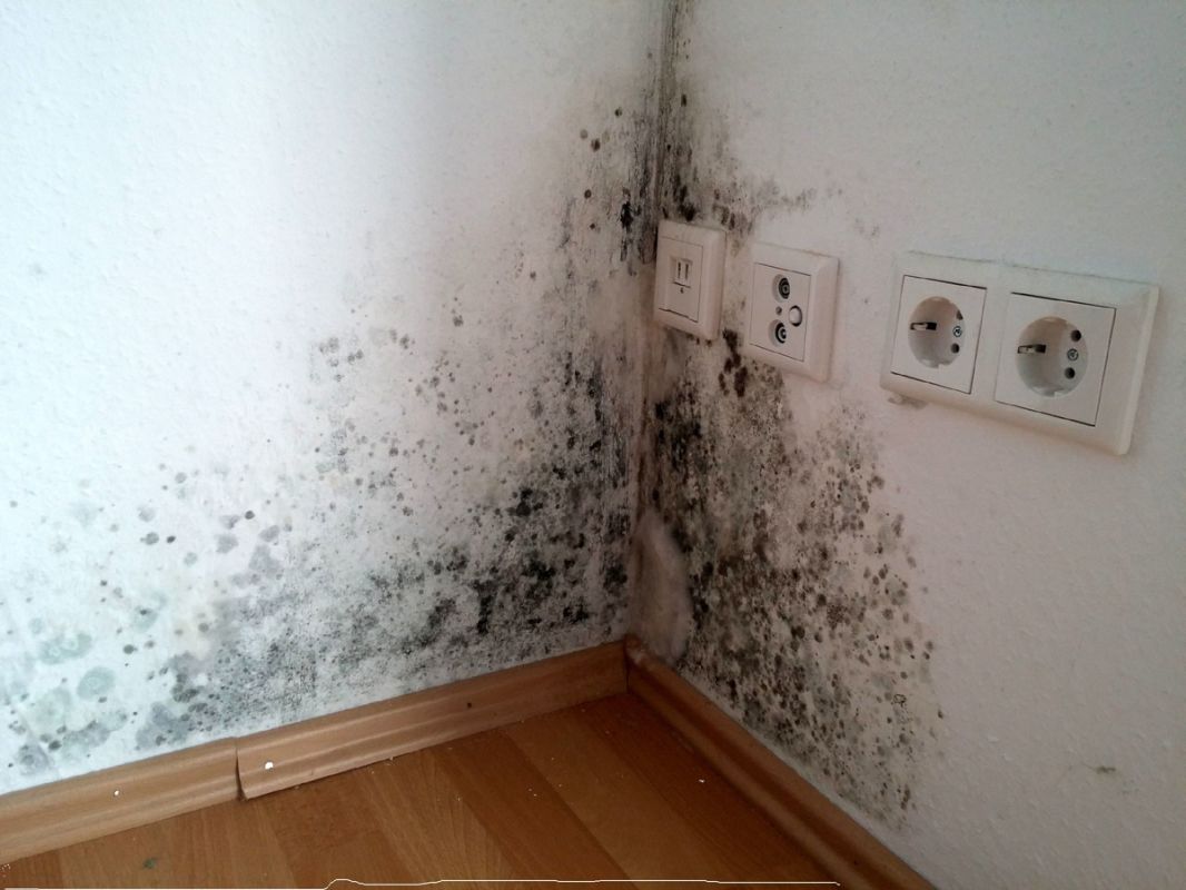 ������� � ������� ����: ��� � ��������