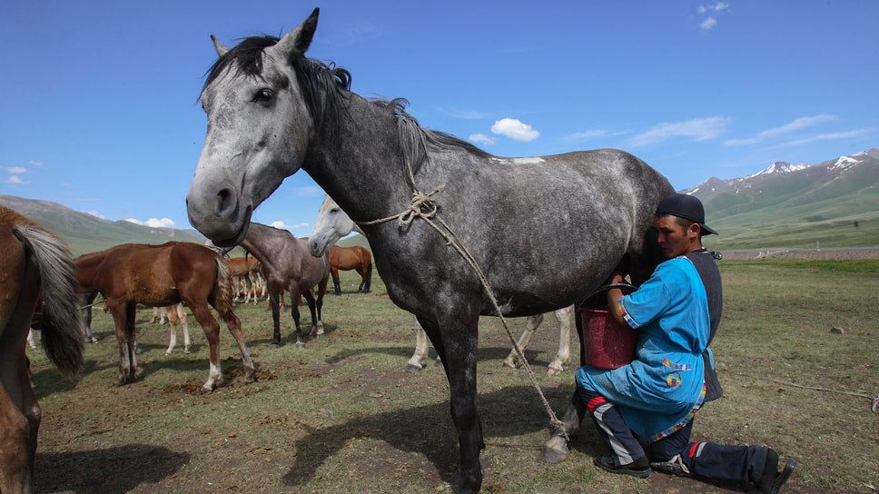 ����� � �����: ����� ����� �� �������� ����� ������