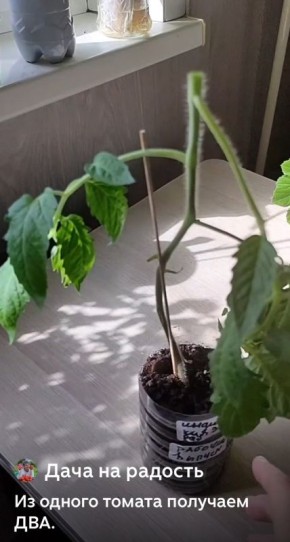 ��������� ��������� �����: ��� ���������� ������� �������� ���������� ��������� ������