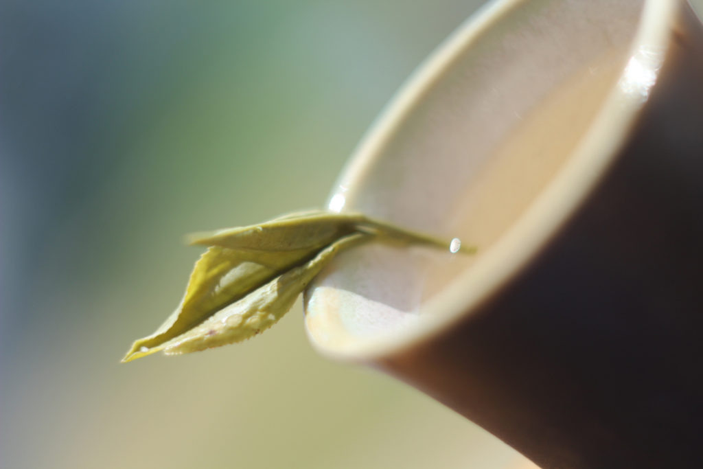 Чай для побед: как сочетание кофеина и l-теанина помогает борцам достигать результатов