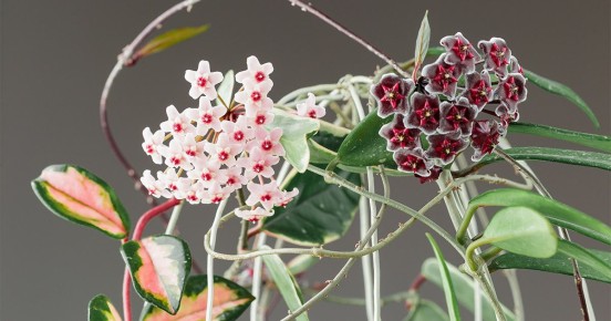 10 ������ ������ ��� ��� ������ ������� ���� � 2025 ����