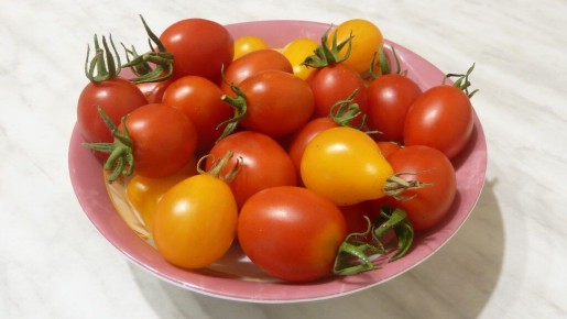 �������� � ����������� ���� ��� ������: ��������� ��������� �� ����