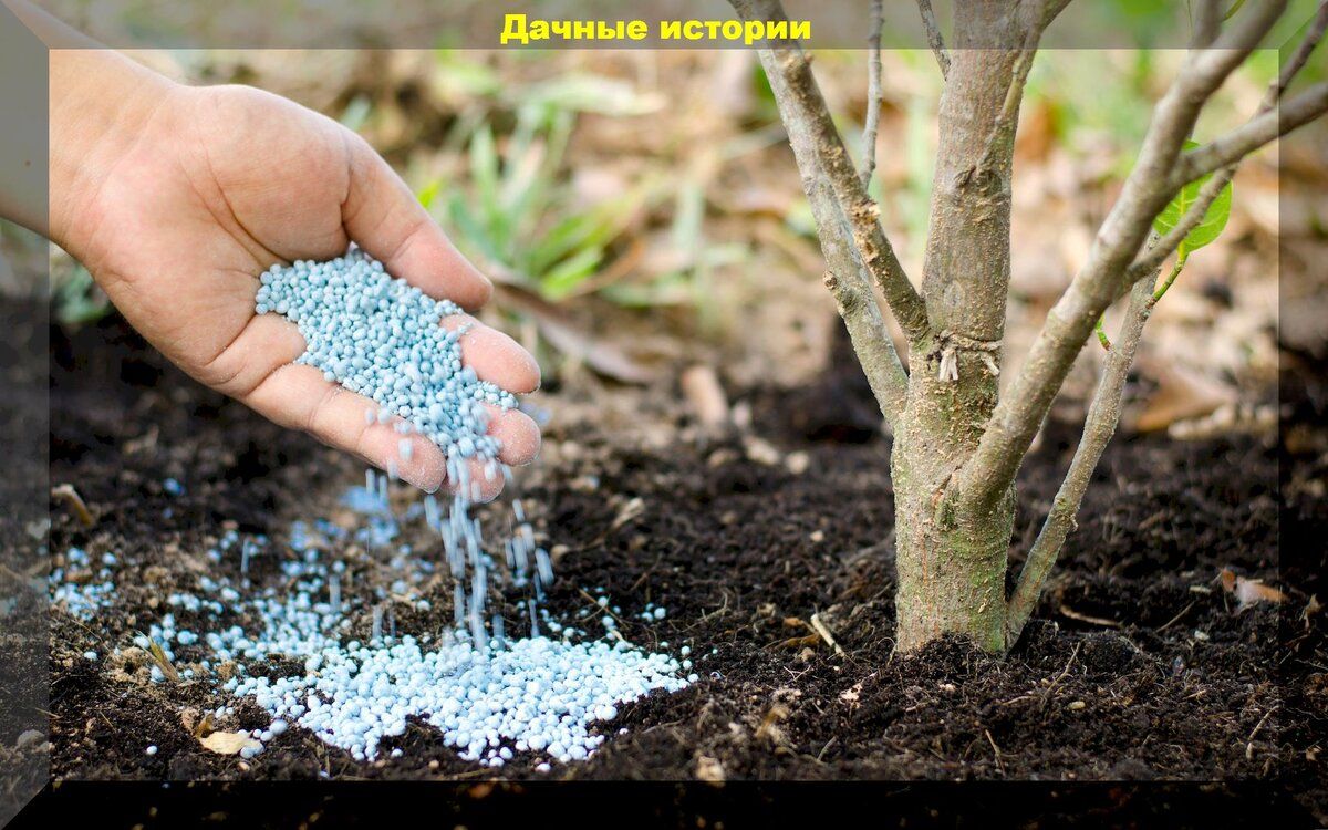 �������� ������� ��� �������� ������: ��� ��������� ������������� �������� �������