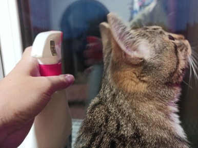 Как добиться кристально чистых окон: секреты и советы