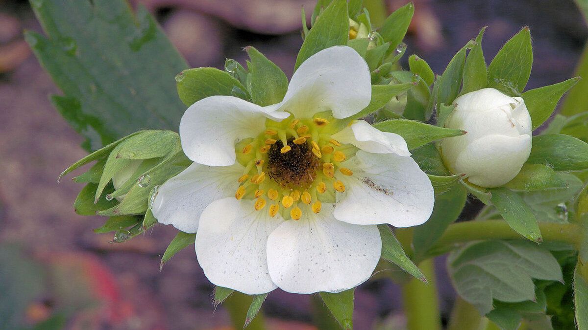 ������ ����� �������� ���������� ������� � ��� � ���� ��������