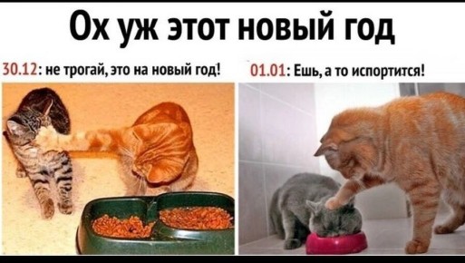 �� ���������� ���������� ������: ��� ������ ����������� �����