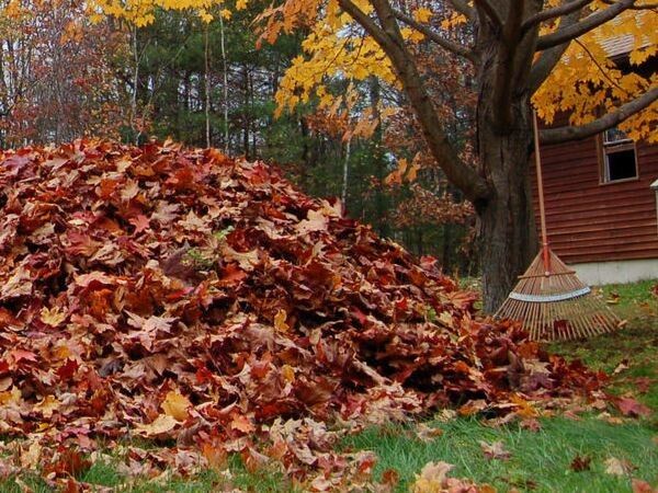 ������ ������� ������ � ����� ������ ������ �����?