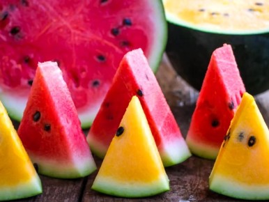 ������ � ������� ������: ��� �������� ��� ������ ��������?