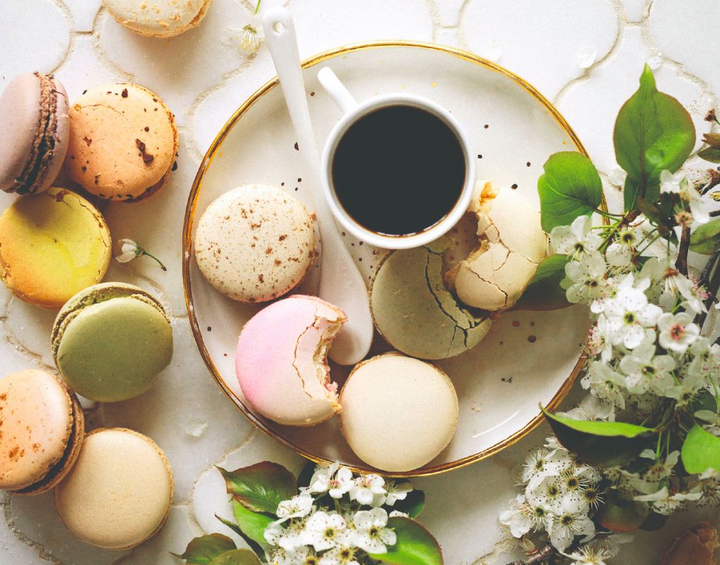 ������� ����: ������ ���� ������ ������� ����������