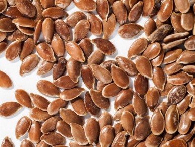 Как замачивание семян может улучшить ваши садовые результаты