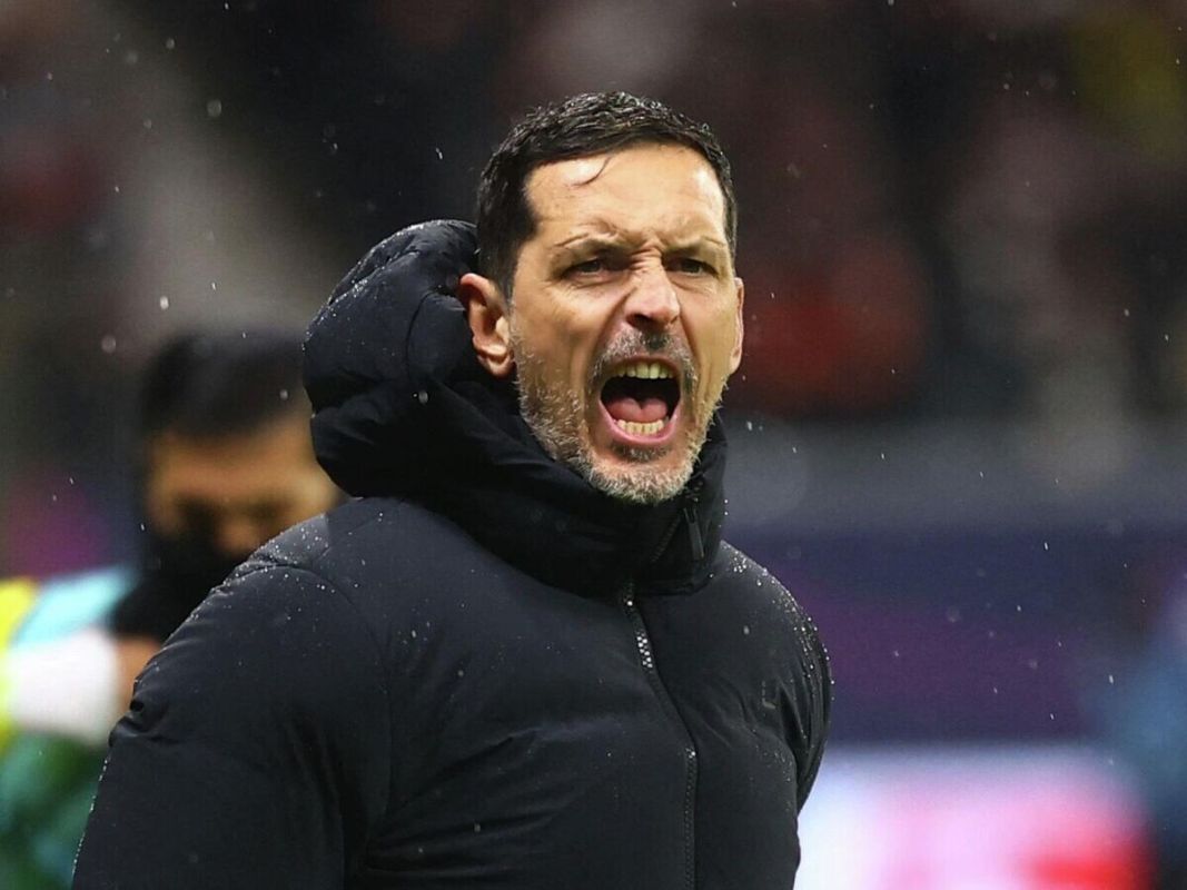 �������� ��������� � ���� �����������: ������� � �����������