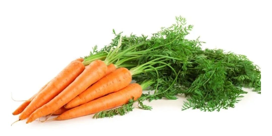 ��������� �����: �� ������������� �������� �� ����������� ��������