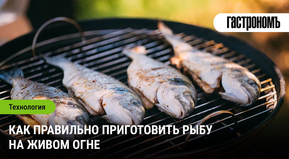 ������� ���������� �����: ������� ���� ��� ������������