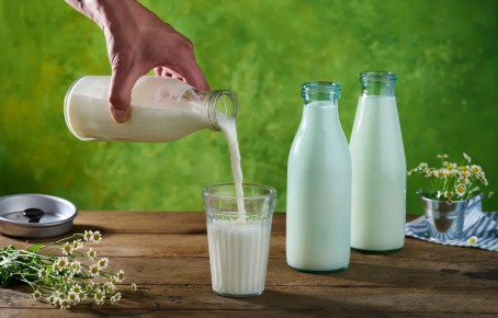 Развенчание мифов о молоке: польза и ограничения