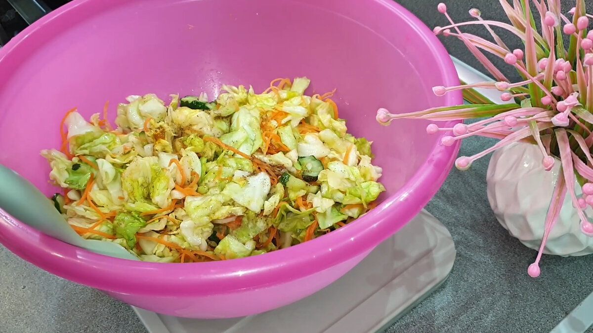 ������ ������ ������������ ������ ��� ��������