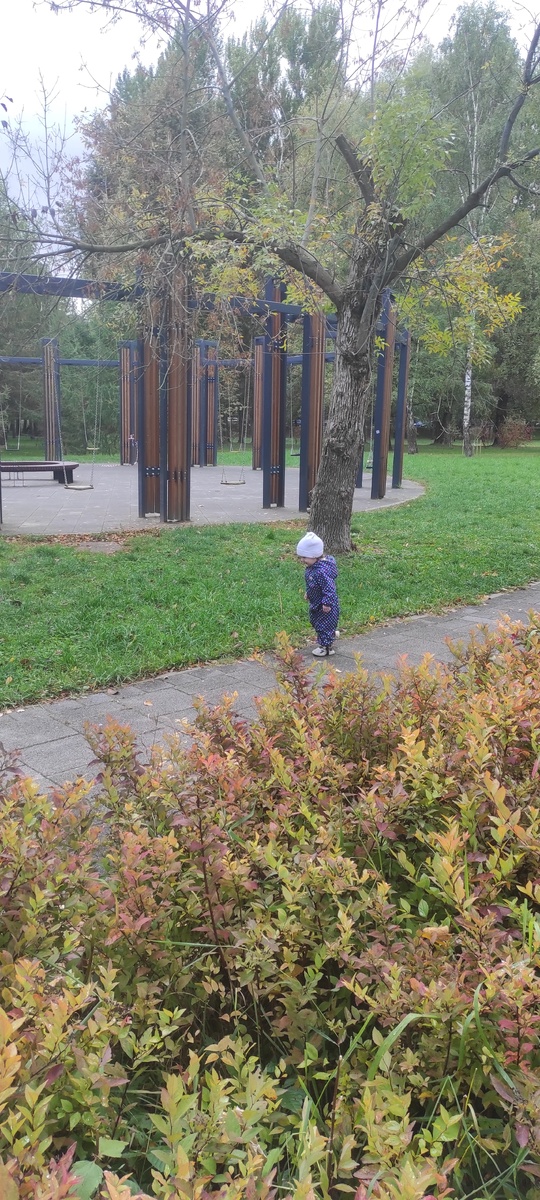 Волшебство глинтвейна: уютный рецепт для холодных вечеров