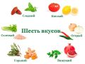 Искусство сочетания вкусов в рационе