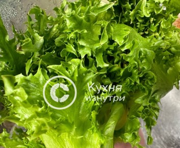 Как вырастить фрилис на подоконнике: простой и экономный способ