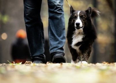 ���� ����� ��������� ����� ��� �������� �������� ����� ���������� ������� ��-�� ������