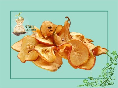 ����� ����, �������, ���� � ������