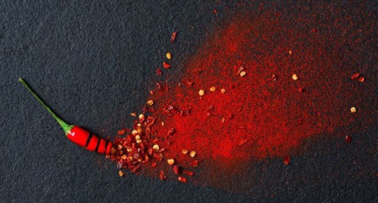 ������ ���: ���� � ����������