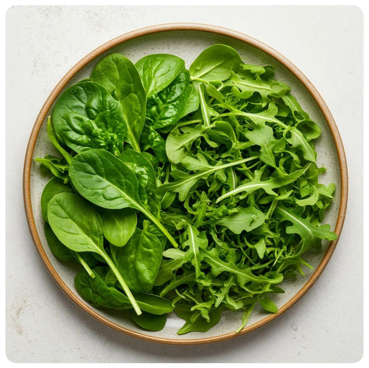 Шпинат или рукола: что выбрать в салате?