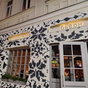 ���� � ��������� Bjorn