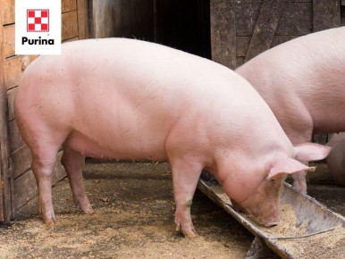 ��� ��������� ������ ��� ��������� ���������� ���� � ����