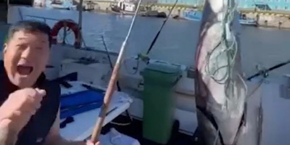 На Курильских островах поймали гигантского тунца весом 284 кг