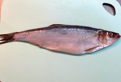 ������� ������� �� �������: ������ � ���������