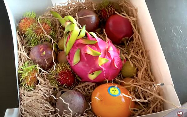 ������������ ������ �� GreenGrand: ��� ����� �� ��������?