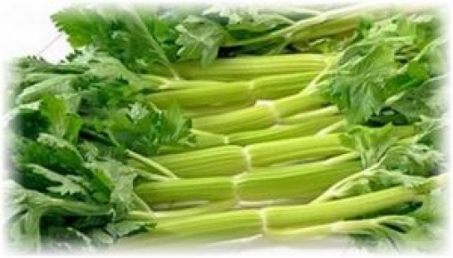 ����������� ������� �������� ��������� � ������ ������