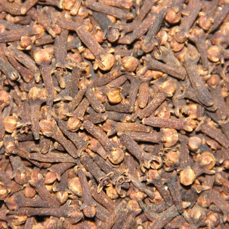 ��� �������� ����� ������ ���� ������: ������������ �������� � ������� �������