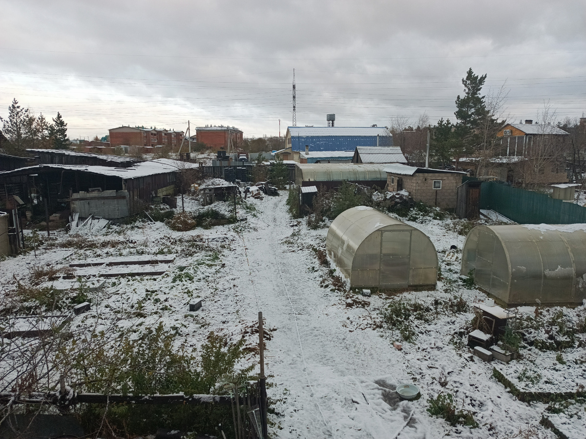 Снежные радости и тыквенные вафли: как зима меняет привычный ритм