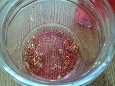 Удивительные закусочные бутерброды для вашего праздника