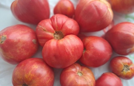 ��� ��������� �������� ��������� �� ������: ��������� ������� �������