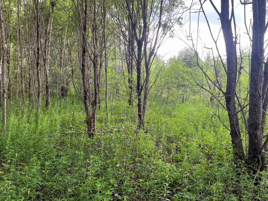 � ������� ������ ���������: ������� �����