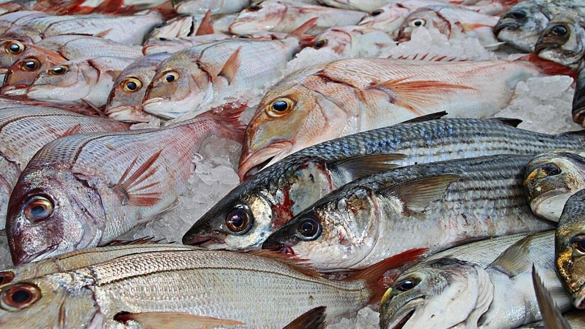 ���� ������������ ������ ��������� �� ����: ���� 12% � 2025 ����