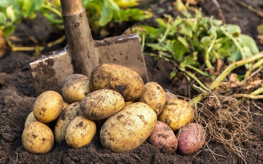 ��������: ��������� � ������ � ����� �������� ��������