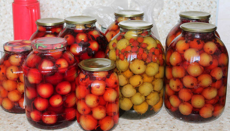 Рецепт сибирского компота: дикие груши и ароматные ягоды