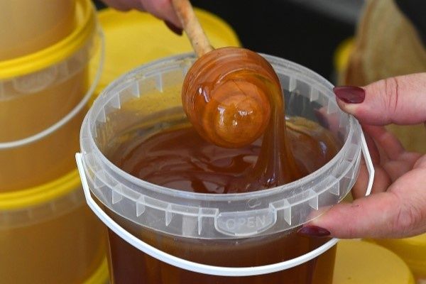 Миф о мёде как альтернативе сахару развеян клиническим фармакологом