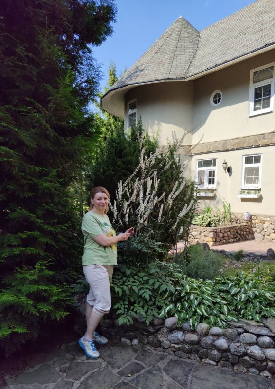 ������� ������: ������ ���� ��� ���������� ���