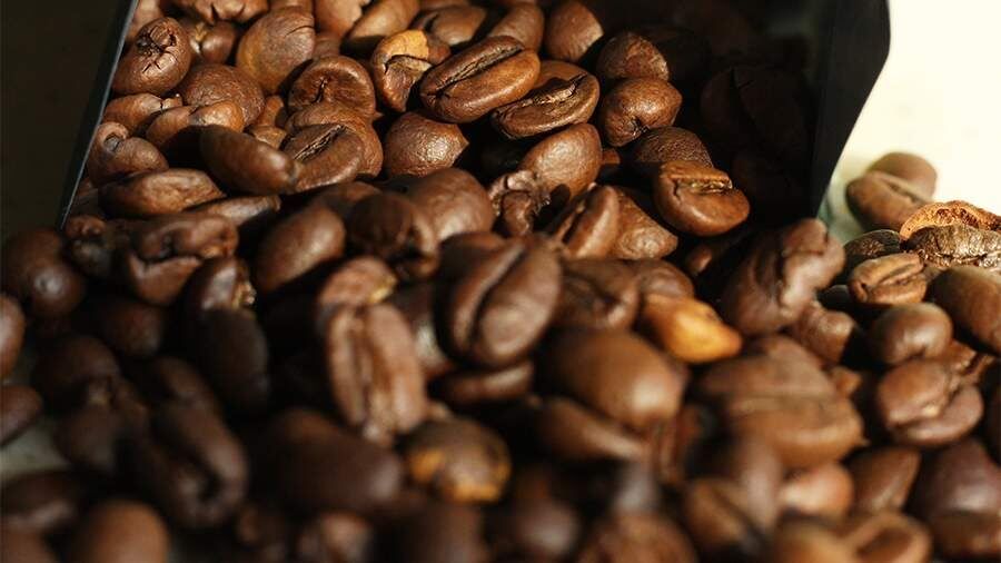 ��� ������� ��������� �� ���� � ����� �������� �� ���� � ���������