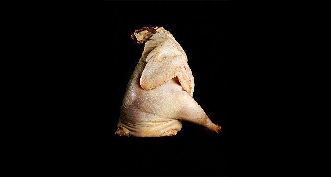 ��������� ������ �� �����