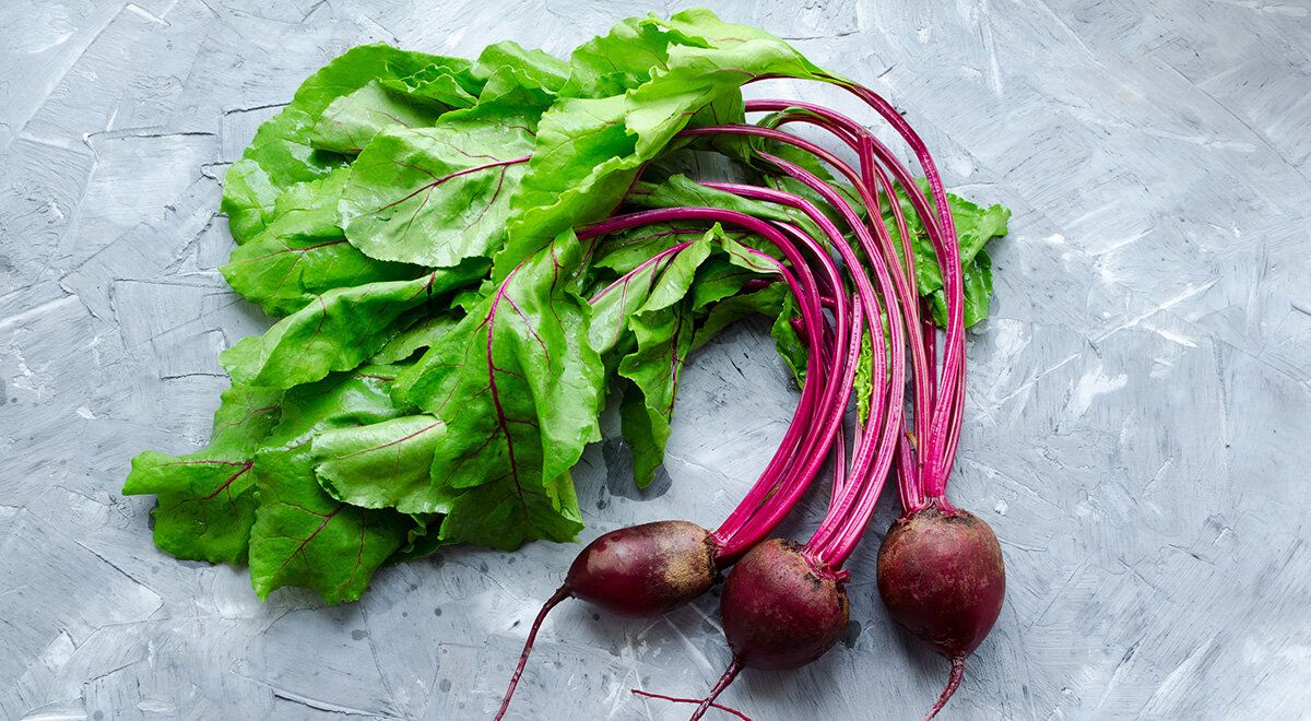 ��� ������������ ���������� �����: ��������� ������� ��� ������ ������