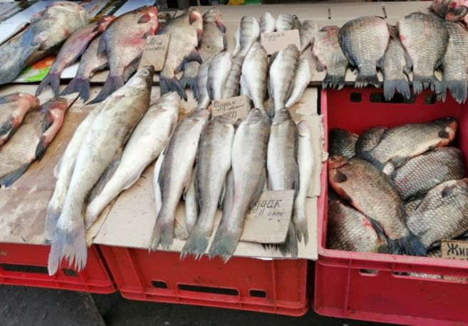 ��������� ������� ����: �������� �������� ��������� �� �������������