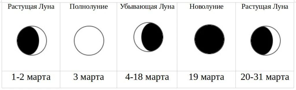 ������� ������� ��������� � 2026 ����: ������ �� ������� ���������