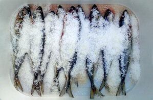 ������� �������� ������� ���: ������� � �������� ������